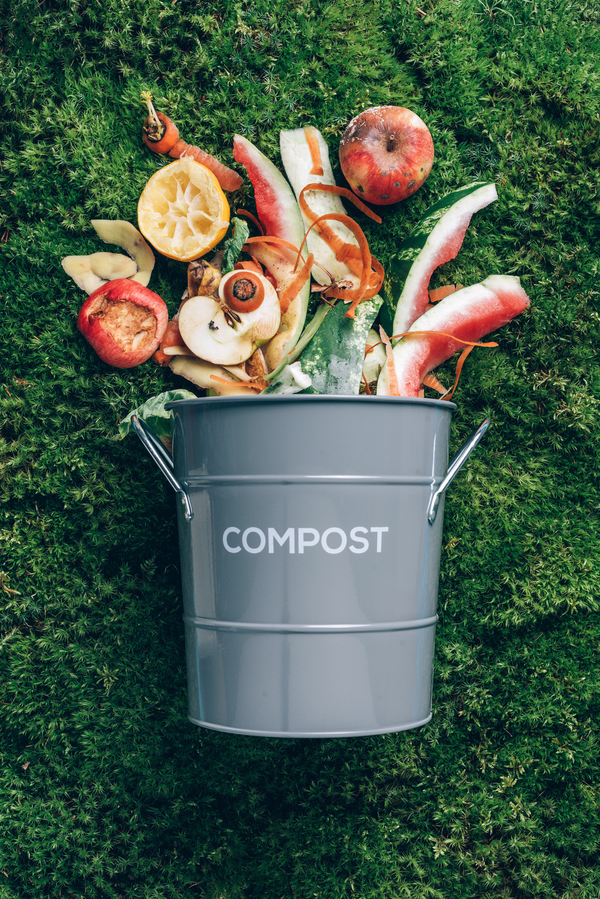 Food Waste in a Compost Bin  